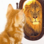 immagine riflessa