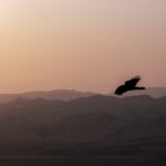 Libertà è un fatto esteriore o interiore?